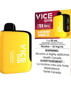 Vice Box 2 Disposable Vape Device - Blackberry Banana Ice