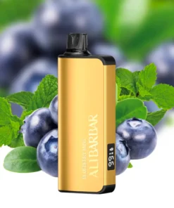 Alibarbar INGOT 9000 Blueberry Mint