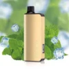 Alibarbar INGOT 9000 Cool Mint