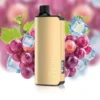 Alibarbar INGOT 9000 Grape Ice
