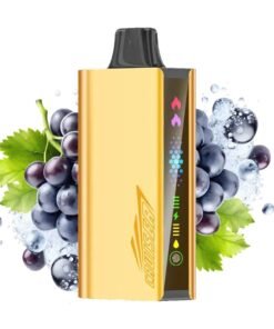 JNR Cruiser 12000 Grape Ice
