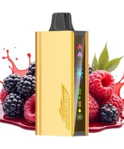 JNR Cruiser 12000 Mixed Berry